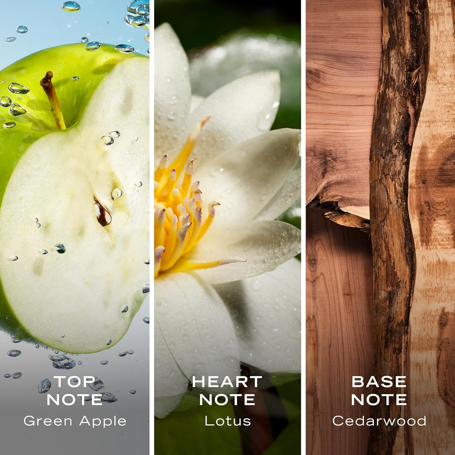 Voyage Eau De Toilette - Image 4