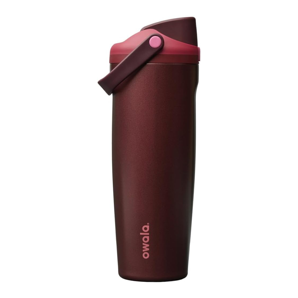 Insulated Stainless Steel Water Bottle