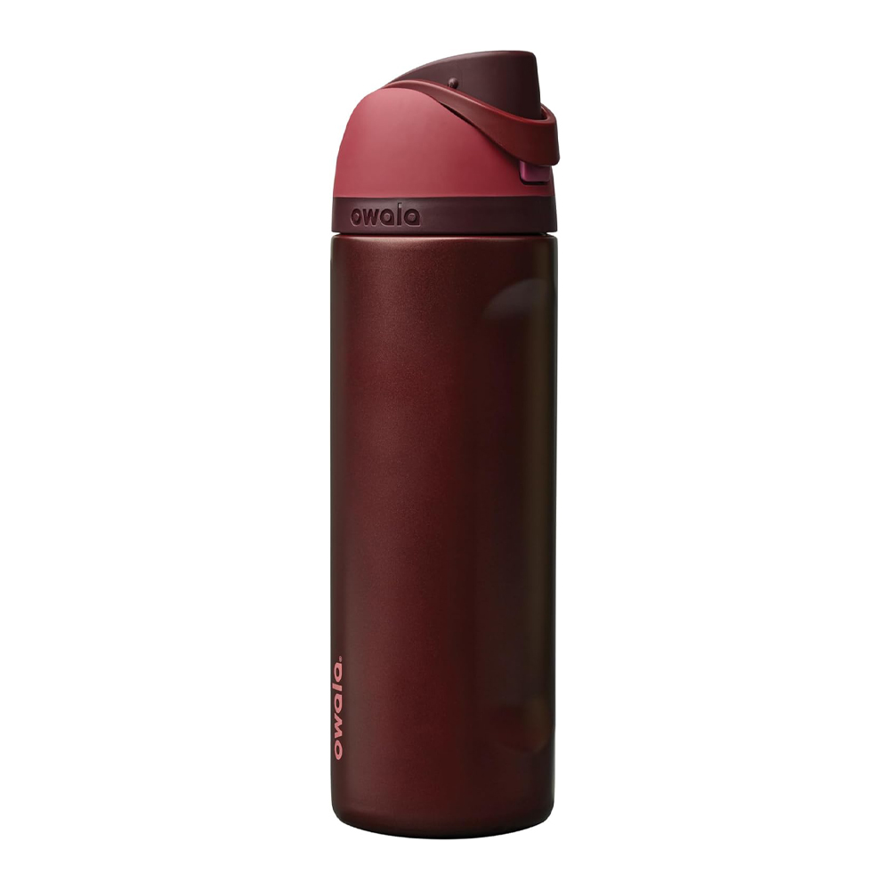 Insulated Stainless Steel Water Bottle with Straw